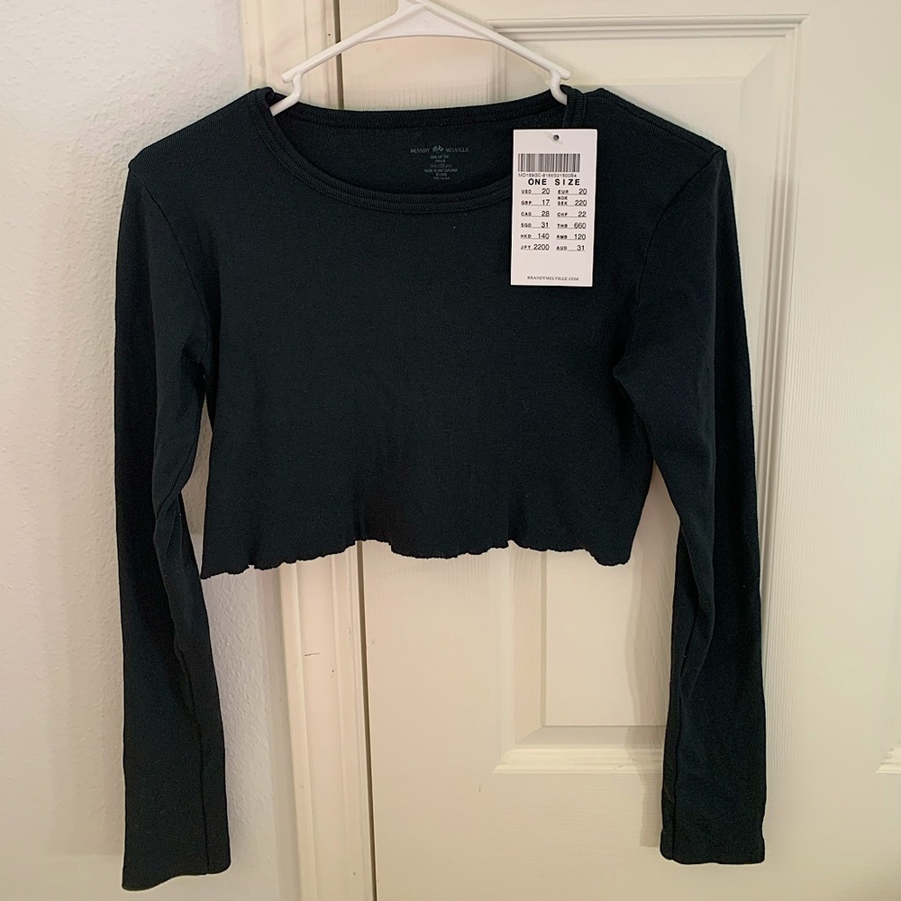 Brandy Melville Hailie Basic Long Sleeve Crop Top (never worn)